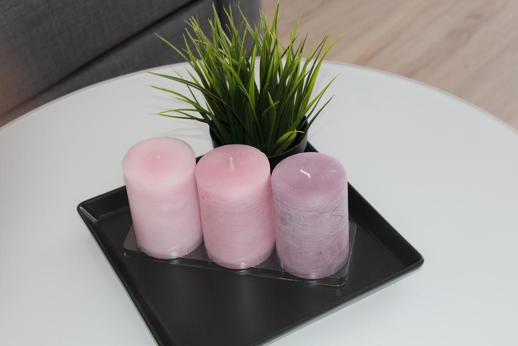 Przy Mocaku Appartement